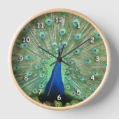 Horloge - Plumes de queue de paon (Recto)