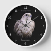 Horloge Portrait signé d'un faucon de Saker curieux (Recto)