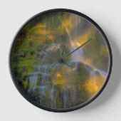 Horloge Proxy Falls Three Sisters Wilderness Oregon (Recto)