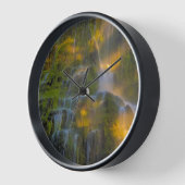 Horloge Proxy Falls Three Sisters Wilderness Oregon (Angle)