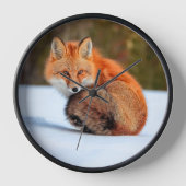 Horloge Renard Rouge En Neige | Yukon (Recto)