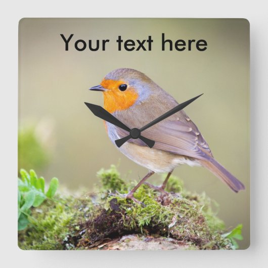 horloge Robin personnalisable ajouter votre propre (Recto)