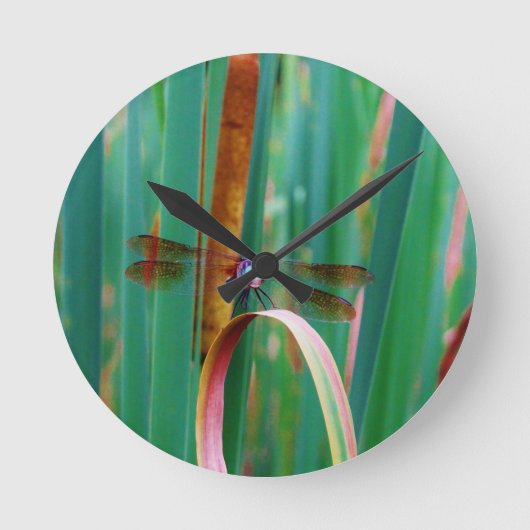Horloge Ronde A teal Eyed Dragonfly with cattails (Recto)