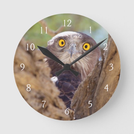 Horloge Ronde A White Breasted Snake (Recto)