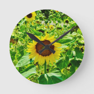 Horloge Ronde Abeille sur tournesol jaune