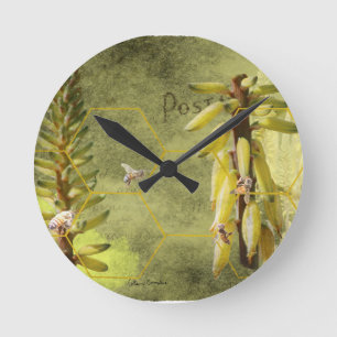 Horloge Ronde Abeilles sur plante de Yucca Multimédia