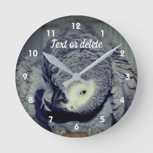 Horloge Ronde African Grey Parrot Cute Bird 2 Personnalisé