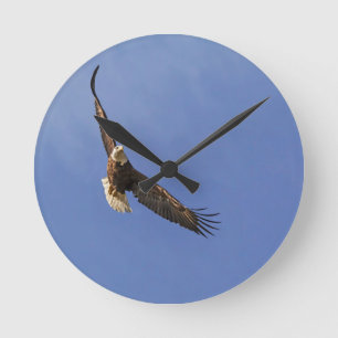 Horloge Ronde Aigle chauve
