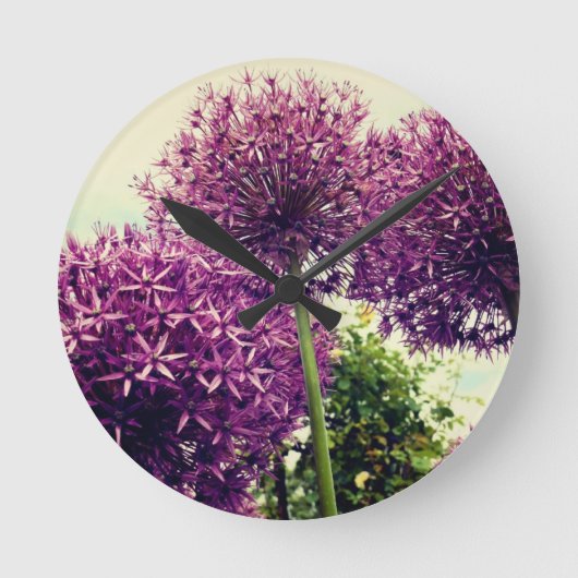 Horloge Ronde Allium pourpre (Recto)
