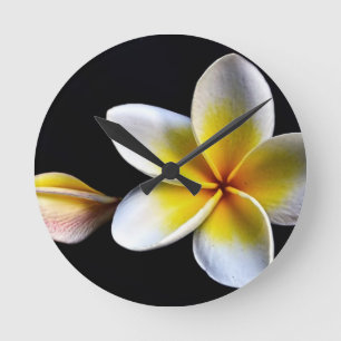 Horloge Ronde Aloha le Frangipani hawaïen fleurit des Plumerias