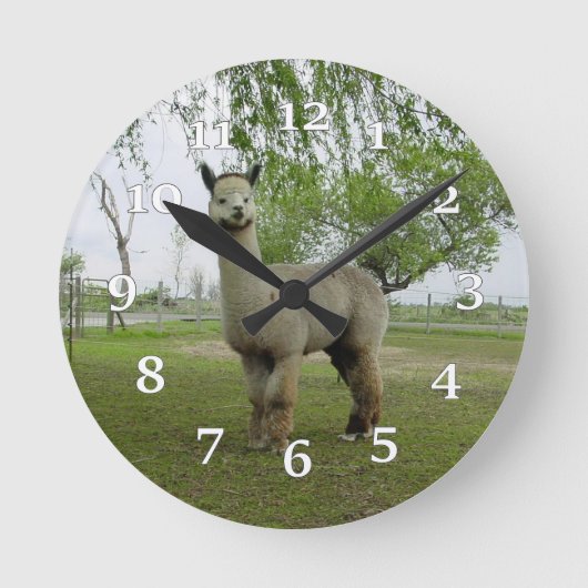 Horloge Ronde Alpaca Wall Clock (Recto)