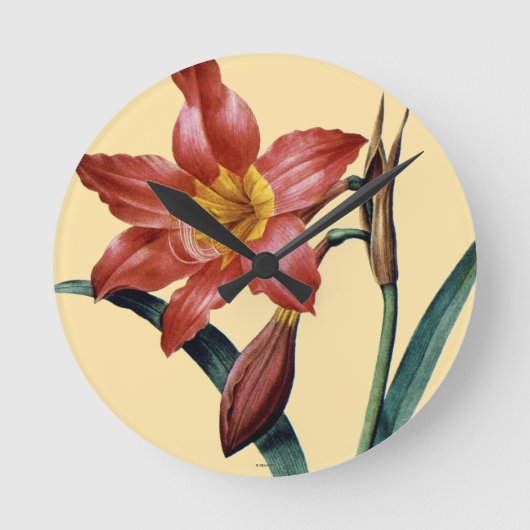Horloge Ronde Amaryllis (Recto)