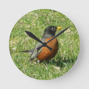 Horloge Ronde American Robin clock