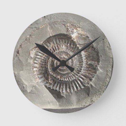 Horloge Ronde Ammonite de Dactylioceras dans la roche (Recto)