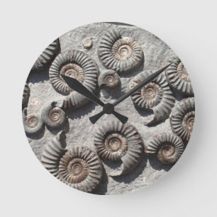 Horloge Ronde ammonites fossiles multiples provenant des basses 