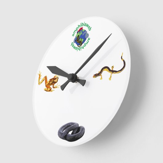 Horloge Ronde AmphibiaWeb Clock (Angle)