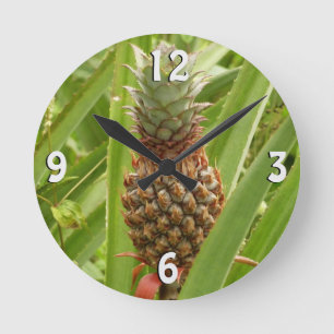 Horloge Ronde Ananas sauvage Fruit tropical dans la nature