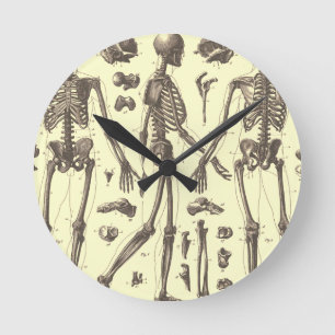 Horloge Ronde Anatomie