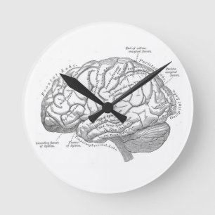 Horloge Ronde Anatomie vintage de cerveau