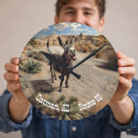 âne souriant, Oatman Arizona, Route 66