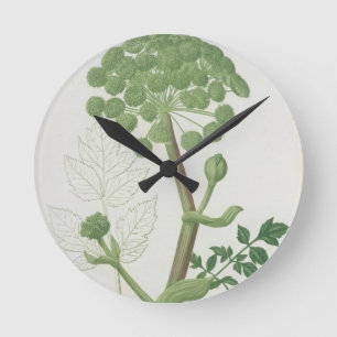 Horloge Ronde Angelica Archangelica de 'Phytographie Medicale'