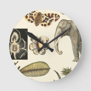 Horloge Ronde Animaux assortis peints sur l'arrière - plan crème