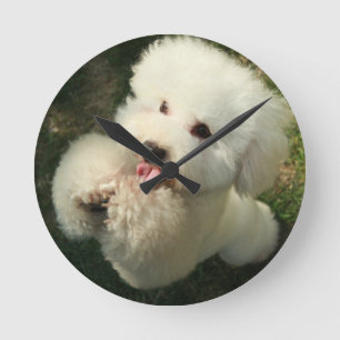 Horloge Ronde Animaux domestiques, chien, caniche