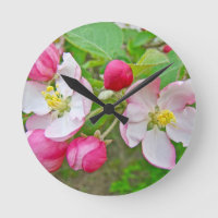 Apple Blossom Time