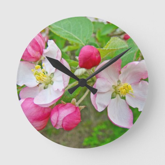 Horloge Ronde Apple Blossom Time (Recto)