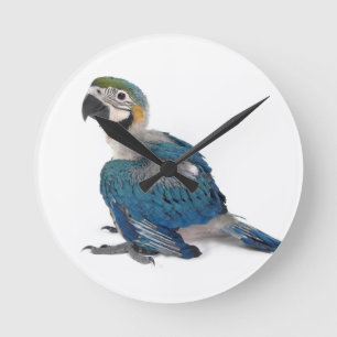 Horloge Ronde Ara bleu et jaune