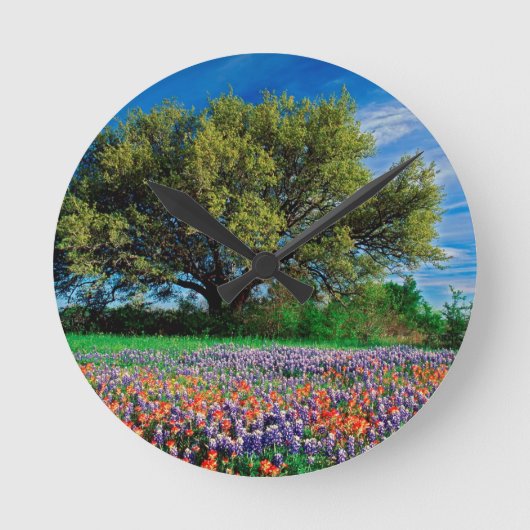 Horloge Ronde Arbres Live Oak parmi des Bluebonnets de Texas (Recto)