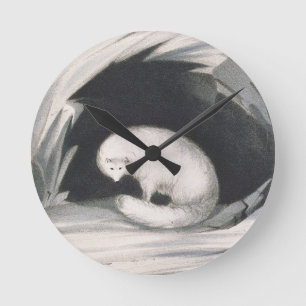 Horloge Ronde Arctic Fox, from 'Narrative of a Second voyage in