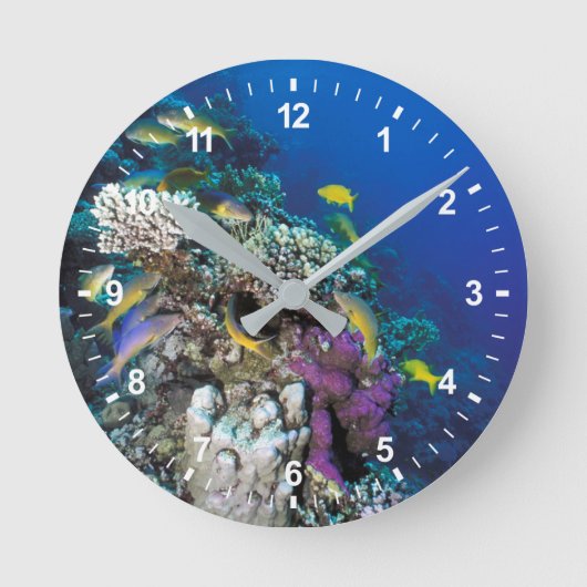 Horloge Ronde Around Small Coral (Recto)