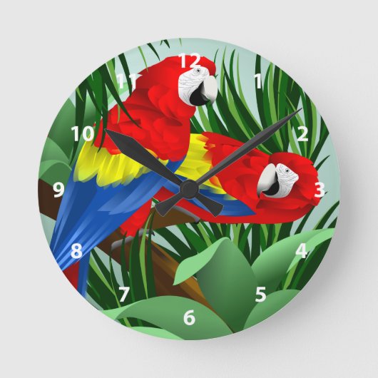 Horloge Ronde Art Scarlet Macaw (Recto)