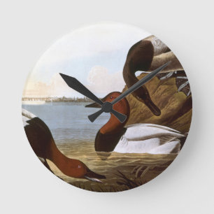 Horloge Ronde Audubon : Canvasback