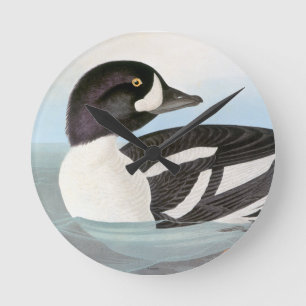Horloge Ronde Audubon : Le Goldeneye de la brouette
