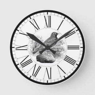 Horloge ronde avec illustration de l'étourneau san