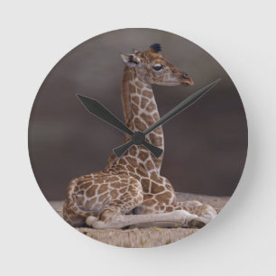 Horloge Ronde Baby Giraffe Clock