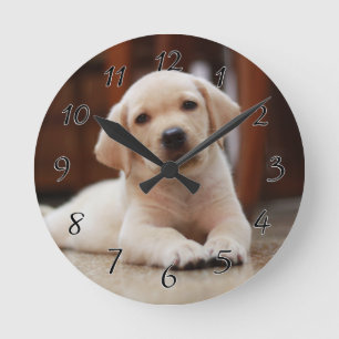 Horloge Ronde Baby Jaune Labrador Chien chiot pondu sur le ventr