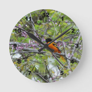 Horloge Ronde Baltimore Oriole