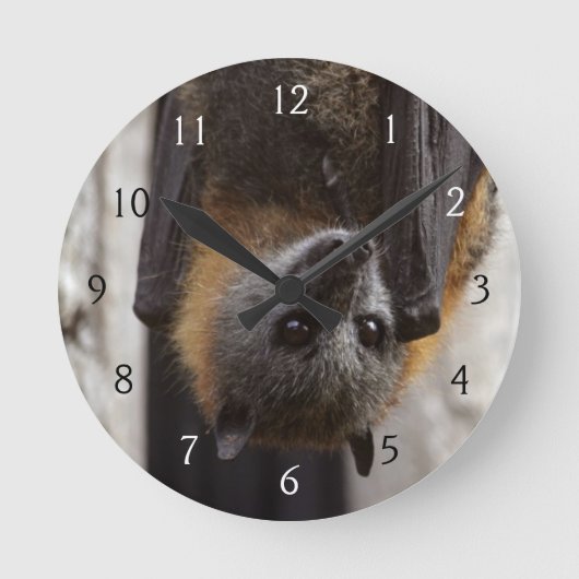 Horloge Ronde Bat australien (Recto)