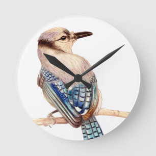 Horloge Ronde Beau Oiseau
