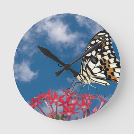 Horloge Ronde Beau Papillon (Recto)