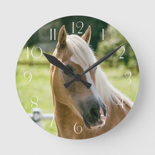 Horloge Ronde Beautiful haflinger horse (Recto)
