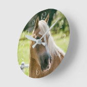 Horloge Ronde Beautiful haflinger horse (Angle)