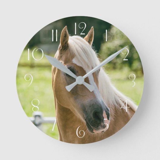 Horloge Ronde Beautiful haflinger horse (Recto)
