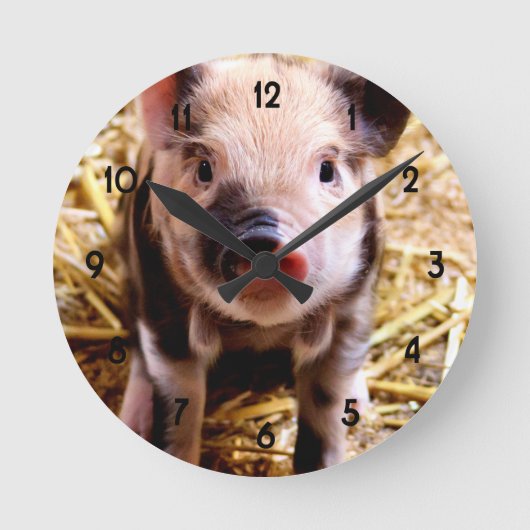 Horloge Ronde Bébé mignon porc (Recto)
