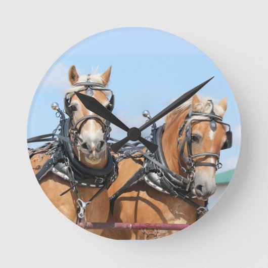 Horloge Ronde Belgian Horses (Recto)