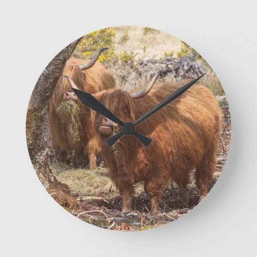Horloge Ronde Belles vaches de ferme Highland (Recto)