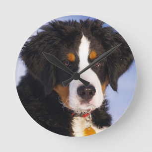 Horloge Ronde Berese Mountain Dog Puppy Wall Clock